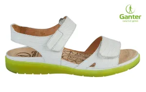 GAN HONEY WHITE